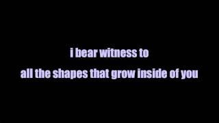 Winterpills - I bear witness Lyrics