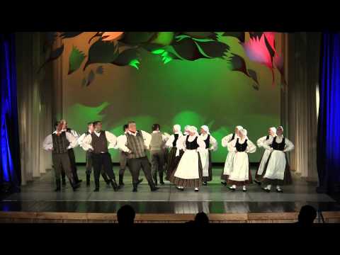 Jelgavas pils. skate 2013; Lepna, Lepna Tā Pļaviņa; Zemgaļi