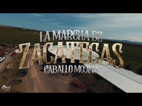 La Marcha De Zacatecas , Caballo Mojino - En Vivo - Banda La Iniciativa