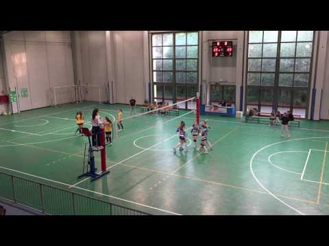 Lariointelvi - Turate