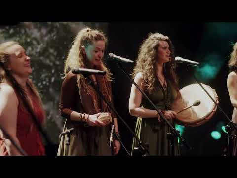 Laboratorium Pieśni - Vrbice - LIVE at Gdański Teatr Szekspirowski