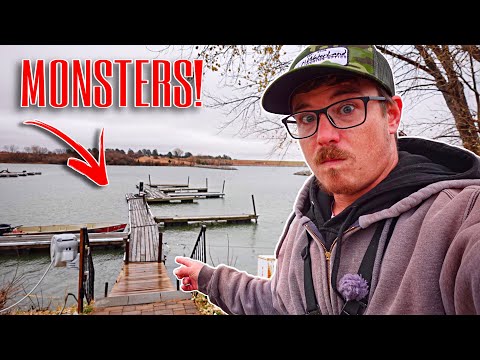 The FISH OF A LIFETIME Lives Under This TINY DOCK!!! (The Bite That MATTERED)