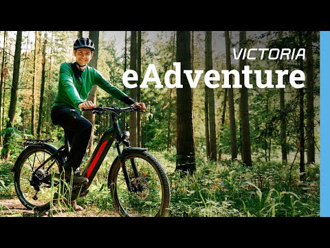 Introduced: The VICTORIA eAdventure Series