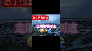 [問卦] 用四字成語，來形容現在的台南人