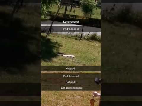 Udar słoneczny 🏜️