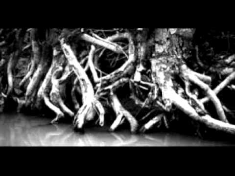 Tangled In My Flow (feat. Chukk Rukkuz & Mike Souljah) - Noname