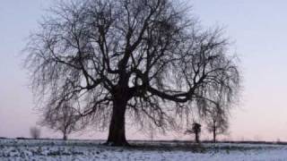 I Have Nothing - Noah and The Whale