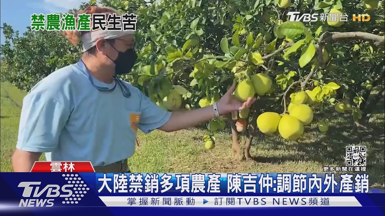 大陸禁銷多項農產　陳吉仲：調節內外產銷