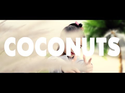 Coconuts - Triarchy ft. lauren | Dance video - Studio 19