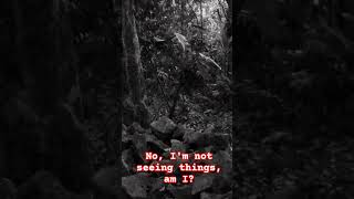 Download lagu they are so many π±π mp3 Download lagu they are so many π±π mp3