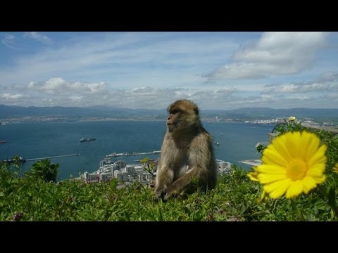 HD! Expedition Mittelmeer - Grenzgänger [Doku]