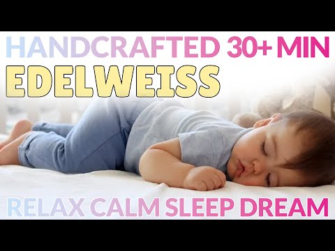 EDELWEISS LULLABY! Best Baby RELAX, CALM, SLEEP. Handcrafted Lullabies! Stop the crying! Over 30min!