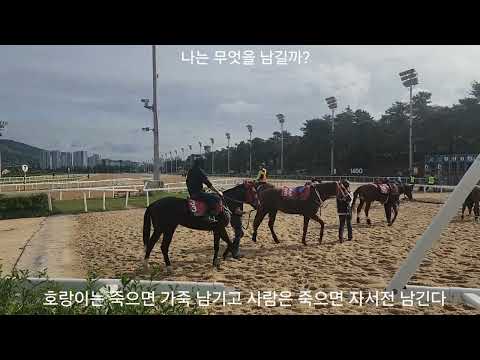 호랑이는 가죽 사람은 자서전 남긴다/나는 뭘 남길까?/경마장 42년 남길께 많다/경마장서 인생을 보냈다. 자랑스럽다./