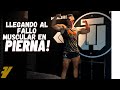 ENTRENAMIENTO BRUTAL DE PIERNA EN THE ULTIMATE BODY BUILDER Co.