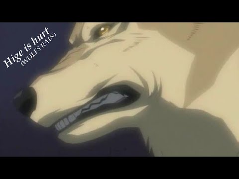 Hige is hurt - Wolfs Rain (HD)