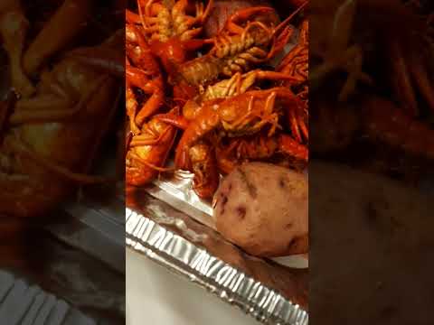Louisiana Mudbugs #tendência #cajun #lagostim #louisiana #shorts