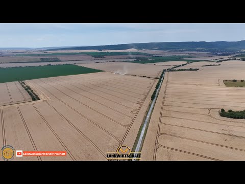 Das muss alles ab! 4500ha Getreide & Raps mit 4 Claas LEXION 8700 auf 2 Standorten LU Hesselbach
