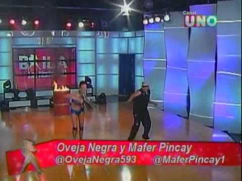 baila la noche   oveja negra y mafer pincay