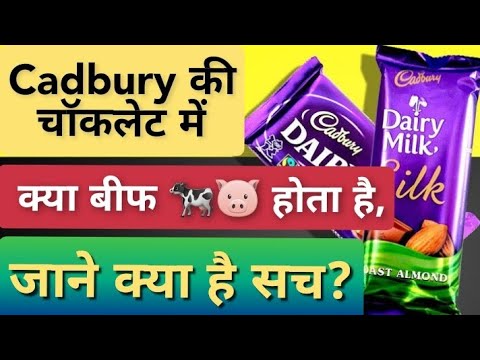 APV KNOWLEDGE | Chocolate Kaise banta hai | chocolate non veg 🐷🐄 ya veg Kaise pahchane ?