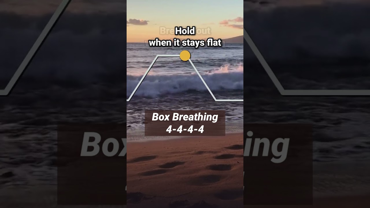 Box Breathing (4-4-4-4) #breathingtechnique
