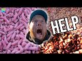 How To Feed In The Winter Months🥶 | with Andy May