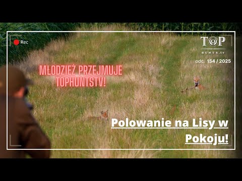 Polowanie na lisy w kole Dzik!