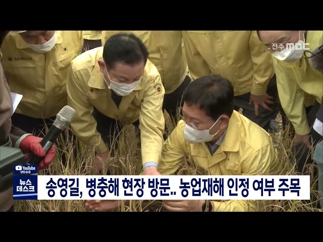 송영길, 병충해 현장 방문..농업재해 인정 여부 주목