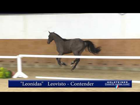 6. Leonidas v. Leovisto - Contender