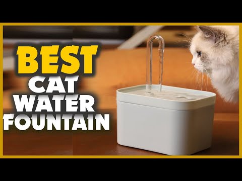 Top 10 Best Water Fountain In 2022- [For Cats & Dogs]