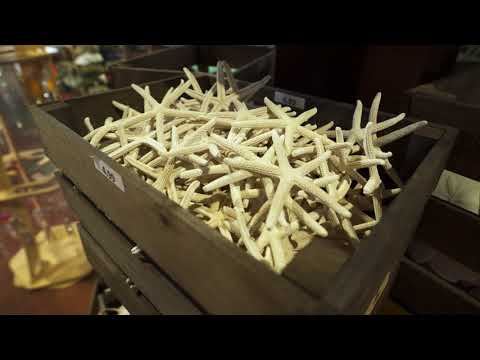 5 Star Island Tour, Charlotte Amalie, St. Thomas