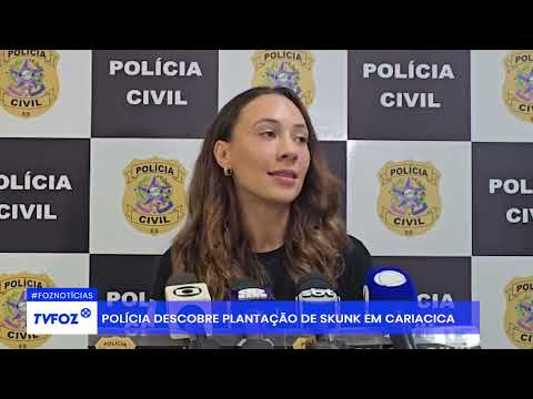 Polícia descobre plantação de Skunk em Cariacica