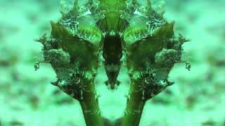 65daysofstatic - 23kid (HD Video)