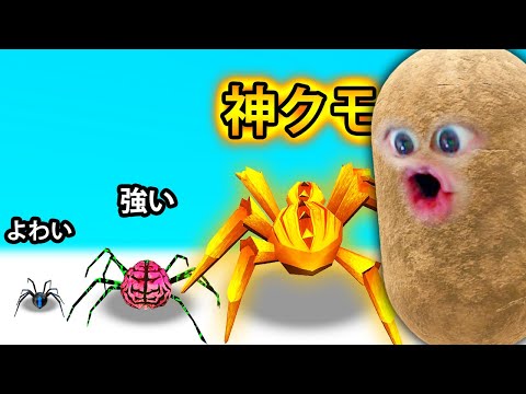 不気味な新種のクモを発見:この動物は幽霊のような体をしている