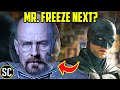 The BATMAN 2: Why MR. FREEZE is the Perfect Villain for the Sequel
