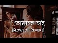 Tomake Chai | তোমাকে চাই | Slowed And Reverb | Arijit singh | Gangster | Bengali Lofi Song