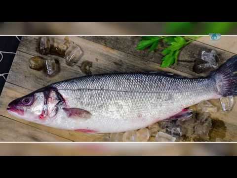 Ne Shtepine Tone, 12 Janar 2018, Pjesa 1 - Levreku