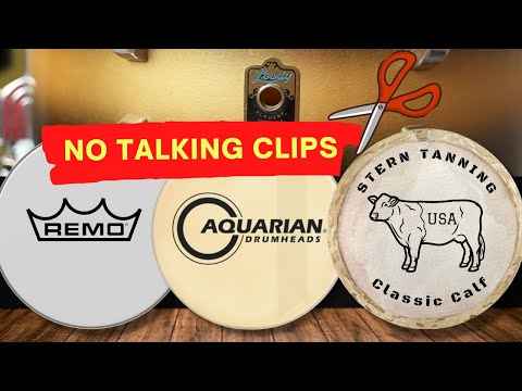 Short Version - Remo Ambassador, Aquarian Vintage vs Calfskin heads -  Leedy Snare drum