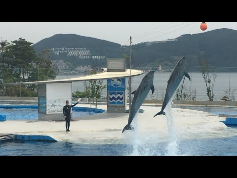 Geoje Sea World 거제씨월드 em Geoje, Coreia do Sul