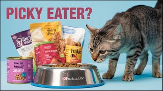 Cracking the Code: Finding the Perfect Cat Food for Picky Ea