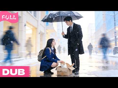 The Cold CEO Banned All Women—But Fell For The Girl Saved A Stray Cat In The Snow