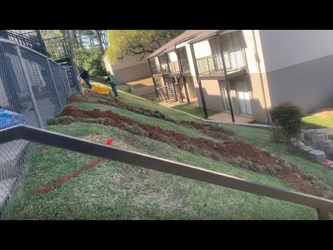 The Magnolia Apartments