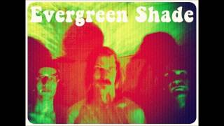 Evergreen Shade 