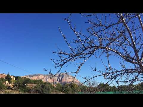 Nick in Spain - 18-01-2018, Day 78