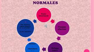 sindrome de kluver bucy 1