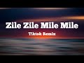 Zile Zile Mile Mile Tiktok Remix Song