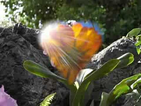 Ricardo Leite - Minha Flor