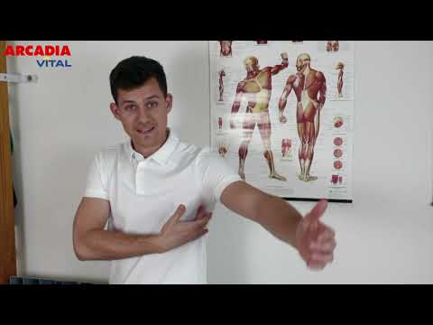 Schulterschmerzen verstehen & behandeln – Tipps vom Physiotherapeuten