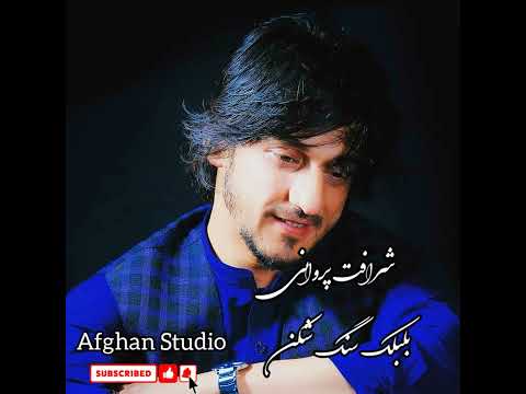 شرافت پروانی - بلبلک سنگ شکن | Sharafat Parwani - bulbulak sang shekan 2022