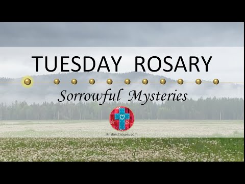 Tuesday Rosary • Sorrowful Mysteries of the Rosary 💜 August 29, 2023 VIRTUAL ROSARY - MEDITATION