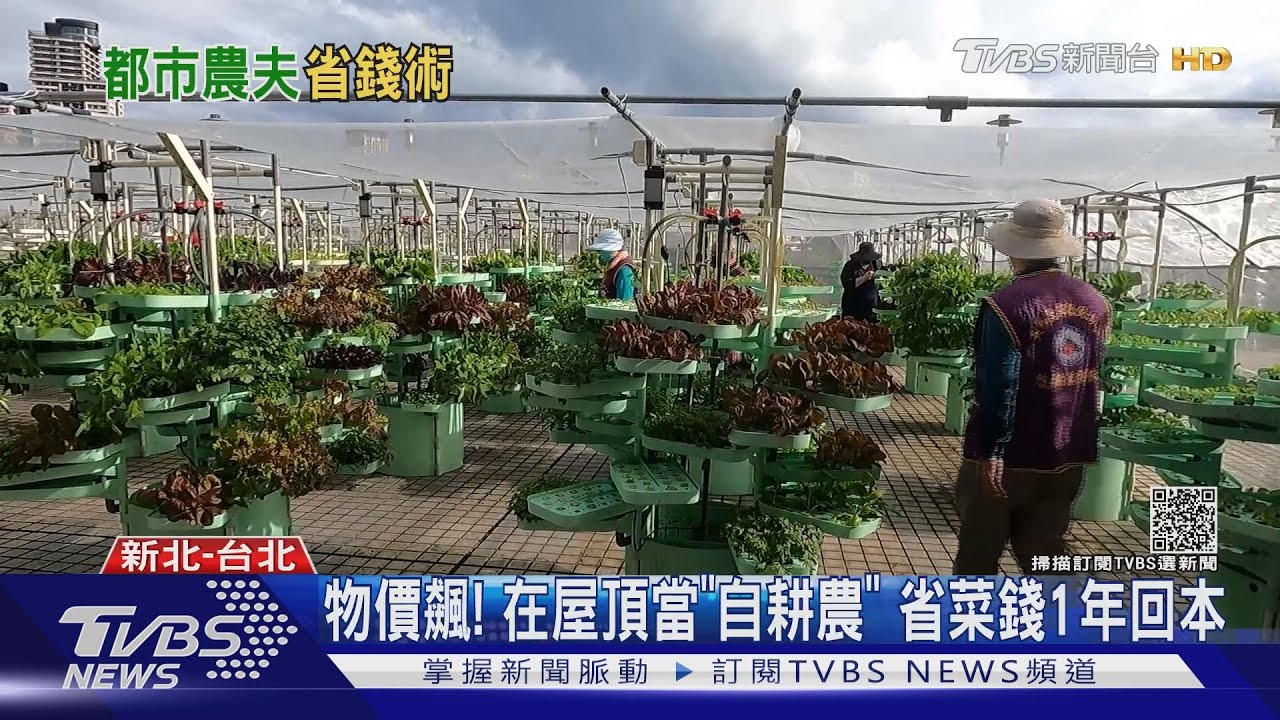 物價飆！在屋頂當「自耕農」　省菜錢1年回本